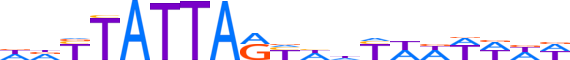 SATB1.H13INVITRO.0.P.D reverse-complement motif logo (SATB1 gene, SATB1_HUMAN protein)