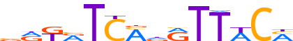 SIX1.H13INVITRO.0.P.B reverse-complement motif logo (SIX1 gene, SIX1_HUMAN protein)