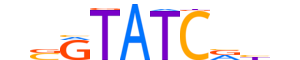 SIX1.H13INVITRO.1.SM.B reverse-complement motif logo (SIX1 gene, SIX1_HUMAN protein)