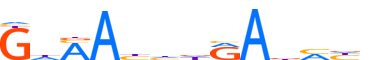 SIX2.H13INVITRO.0.P.B motif logo (SIX2 gene, SIX2_HUMAN protein)