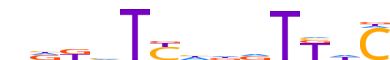 SIX2.H13INVITRO.0.P.B reverse-complement motif logo (SIX2 gene, SIX2_HUMAN protein)