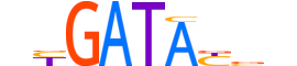 SIX6.H13INVITRO.0.SM.B motif logo (SIX6 gene, SIX6_HUMAN protein)