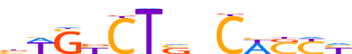 SMAD3.H13INVITRO.2.P.C reverse-complement motif logo (SMAD3 gene, SMAD3_HUMAN protein)