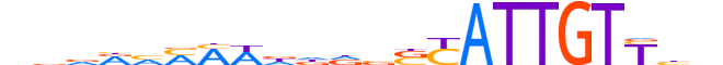 SOX10.H13INVITRO.0.PSM.A motif logo (SOX10 gene, SOX10_HUMAN protein)