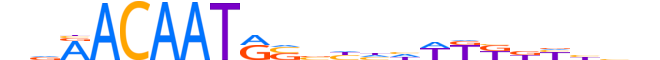 SOX10.H13INVITRO.0.PSM.A reverse-complement motif logo (SOX10 gene, SOX10_HUMAN protein)