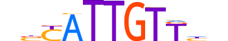 SOX10.H13INVITRO.1.PSM.A motif logo (SOX10 gene, SOX10_HUMAN protein)