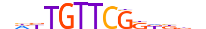 SOX10.H13INVITRO.2.S.C motif logo (SOX10 gene, SOX10_HUMAN protein)