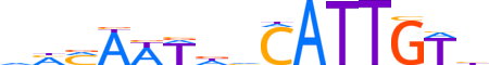 SOX14.H13INVITRO.0.SM.B motif logo (SOX14 gene, SOX14_HUMAN protein)