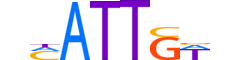 SOX17.H13INVITRO.0.PS.A motif logo (SOX17 gene, SOX17_HUMAN protein)