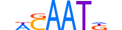 SOX17.H13INVITRO.0.PS.A reverse-complement motif logo (SOX17 gene, SOX17_HUMAN protein)