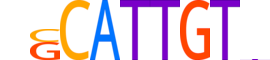 SOX18.H13INVITRO.0.SM.B motif logo (SOX18 gene, SOX18_HUMAN protein)