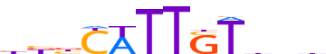 SOX2.H13INVITRO.0.P.B motif logo (SOX2 gene, SOX2_HUMAN protein)