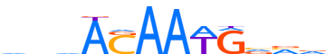 SOX2.H13INVITRO.0.P.B reverse-complement motif logo (SOX2 gene, SOX2_HUMAN protein)