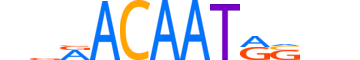 SOX3.H13INVITRO.0.PM.A reverse-complement motif logo (SOX3 gene, SOX3_HUMAN protein)