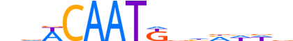 SOX3.H13INVITRO.1.S.C reverse-complement motif logo (SOX3 gene, SOX3_HUMAN protein)