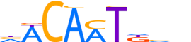 SOX7.H13INVITRO.0.PS.A reverse-complement motif logo (SOX7 gene, SOX7_HUMAN protein)