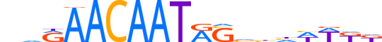 SOX8.H13INVITRO.0.PSM.A reverse-complement motif logo (SOX8 gene, SOX8_HUMAN protein)