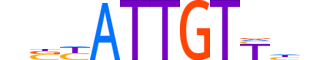 SOX8.H13INVITRO.1.PS.A motif logo (SOX8 gene, SOX8_HUMAN protein)