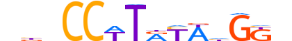 SRF.H13INVITRO.0.PSM.A motif logo (SRF gene, SRF_HUMAN protein)