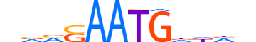 SRY.H13INVITRO.0.S.B reverse-complement motif logo (SRY gene, SRY_HUMAN protein)