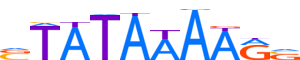 TBP.H13INVITRO.0.P.D motif logo (TBP gene, TBP_HUMAN protein)