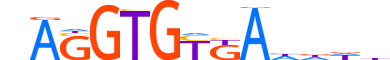 TBX19.H13INVITRO.1.SM.B motif logo (TBX19 gene, TBX19_HUMAN protein)