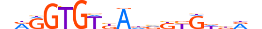 TBX20.H13INVITRO.2.SM.B motif logo (TBX20 gene, TBX20_HUMAN protein)