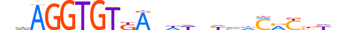 TBX4.H13INVITRO.1.S.B motif logo (TBX4 gene, TBX4_HUMAN protein)