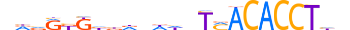 TBX4.H13INVITRO.1.S.B reverse-complement motif logo (TBX4 gene, TBX4_HUMAN protein)