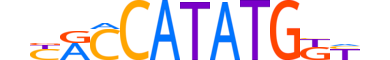 TCF21.H13INVITRO.1.SM.B motif logo (TCF21 gene, TCF21_HUMAN protein)