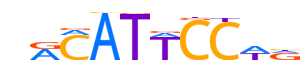 TEAD1.H13INVITRO.0.PSM.A motif logo (TEAD1 gene, TEAD1_HUMAN protein)