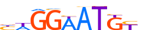 TEAD1.H13INVITRO.0.PSM.A reverse-complement motif logo (TEAD1 gene, TEAD1_HUMAN protein)