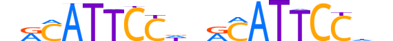 TEAD1.H13INVITRO.2.S.C motif logo (TEAD1 gene, TEAD1_HUMAN protein)