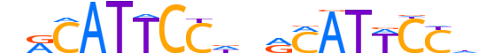 TEAD3.H13INVITRO.1.S.B motif logo (TEAD3 gene, TEAD3_HUMAN protein)