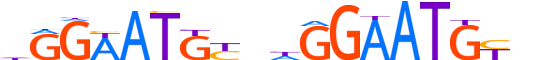 TEAD3.H13INVITRO.1.S.B reverse-complement motif logo (TEAD3 gene, TEAD3_HUMAN protein)