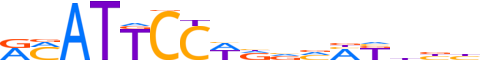 TEAD4.H13INVITRO.1.P.B motif logo (TEAD4 gene, TEAD4_HUMAN protein)