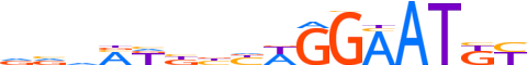 TEAD4.H13INVITRO.1.P.B reverse-complement motif logo (TEAD4 gene, TEAD4_HUMAN protein)