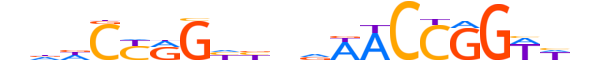 TF2L1.H13INVITRO.0.PSM.A motif logo (TFCP2L1 gene, TF2L1_HUMAN protein)