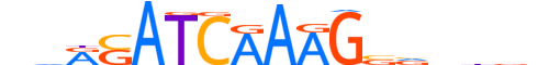 TF7L1.H13INVITRO.0.PM.A reverse-complement motif logo (TCF7L1 gene, TF7L1_HUMAN protein)