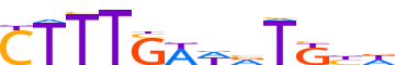 TF7L1.H13INVITRO.1.P.C motif logo (TCF7L1 gene, TF7L1_HUMAN protein)