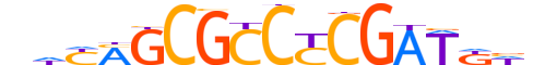 TF7L1.H13INVITRO.2.S.C motif logo (TCF7L1 gene, TF7L1_HUMAN protein)