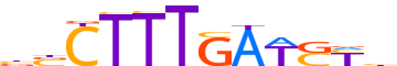 TF7L2.H13INVITRO.0.P.D motif logo (TCF7L2 gene, TF7L2_HUMAN protein)