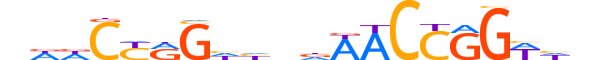 TFCP2.H13INVITRO.1.SM.B motif logo (TFCP2 gene, TFCP2_HUMAN protein)