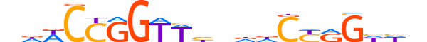 TFCP2.H13INVITRO.1.SM.B reverse-complement motif logo (TFCP2 gene, TFCP2_HUMAN protein)