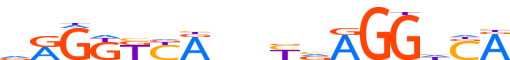 THB.H13INVITRO.0.P.B motif logo (THRB gene, THB_HUMAN protein)