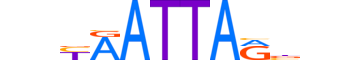 TLX2.H13INVITRO.0.SM.B motif logo (TLX2 gene, TLX2_HUMAN protein)