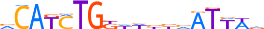 TWST1.H13INVITRO.0.P.D motif logo (TWIST1 gene, TWST1_HUMAN protein)