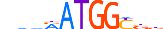 TYY1.H13INVITRO.1.S.B motif logo (YY1 gene, TYY1_HUMAN protein)