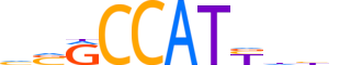 TYY1.H13INVITRO.1.S.B reverse-complement motif logo (YY1 gene, TYY1_HUMAN protein)