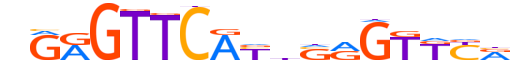 VDR.H13INVITRO.0.PS.A motif logo (VDR gene, VDR_HUMAN protein)